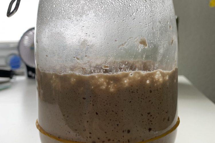 Sauerteigansatz nach 7 Tagen